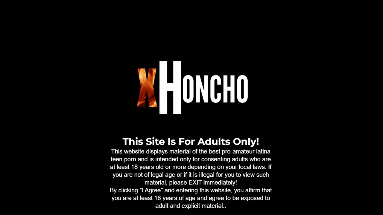 xHoncho 最新网站截图