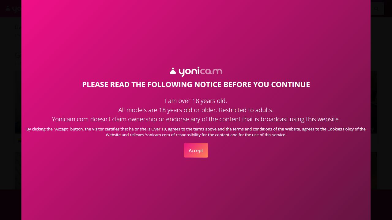 YoniCam 最新网站截图
